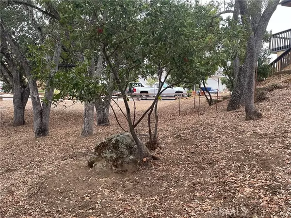 Paso Robles, CA 93446,5003 Pretty Doe