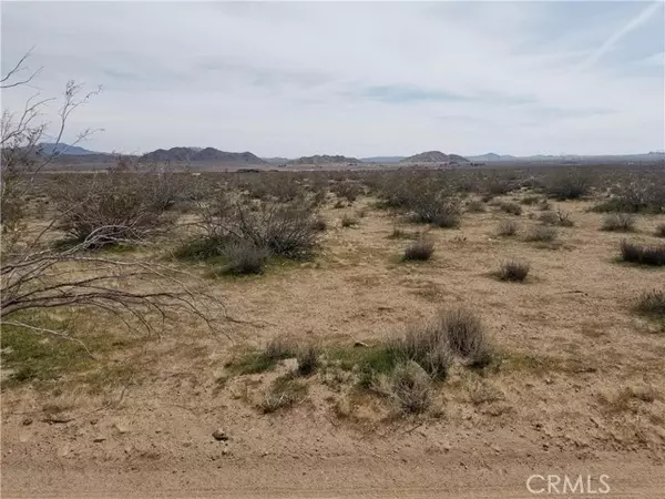 Lucerne Valley, CA 92635,34558 Cattleman