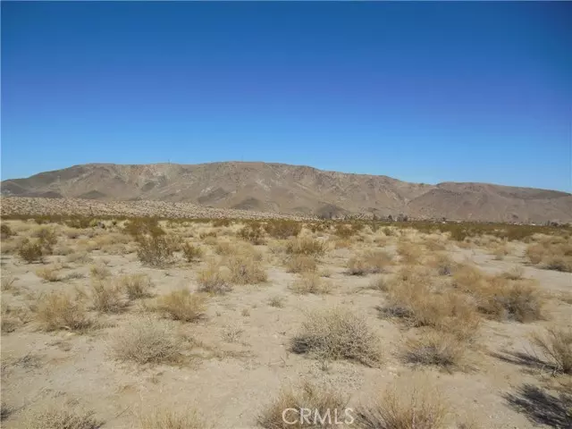 Joshua Tree, CA 92252,141109 29 Palms Hwy