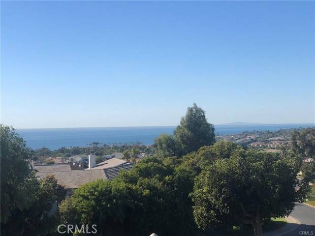 Dana Point, CA 92629,33535 Vista Colina