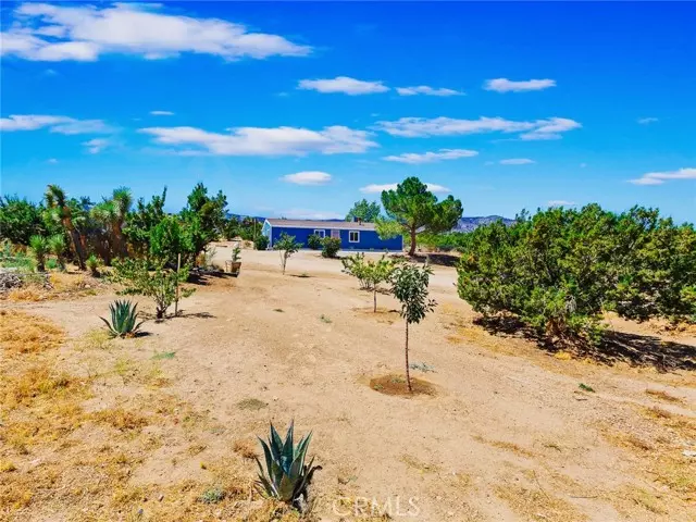 Pinon Hills, CA 92372,3477 Highway 138