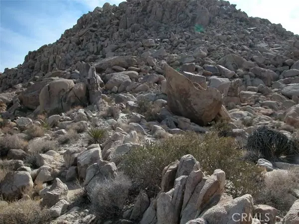 Joshua Tree, CA 92252,9 Stoney Crest Road