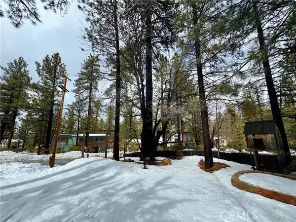41763 Switzerland Drive, Big Bear Lake, CA 92315