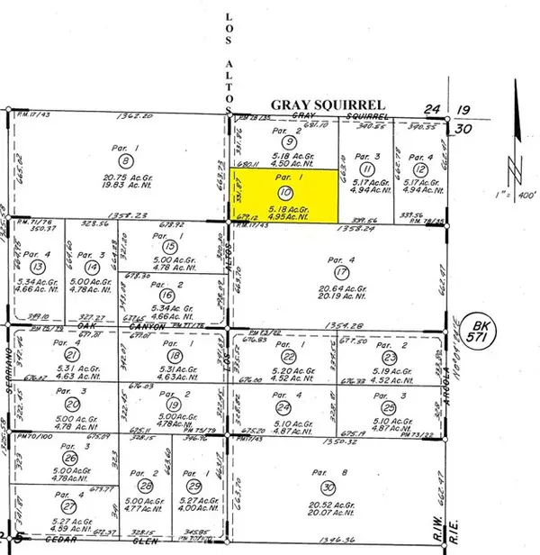 Hemet, CA 92544,10 Gray Squirrel Lot 10