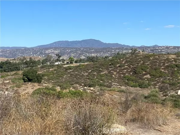 Hemet, CA 92544,10 Gray Squirrel Lot 10