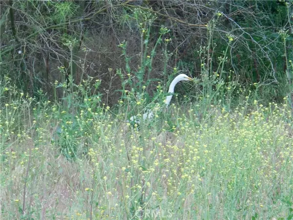 Menifee, CA 92587,11 San Jacinto Rd