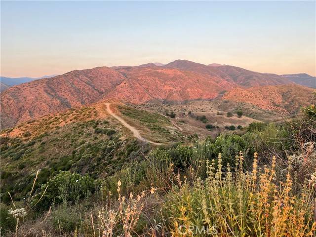 10 Williams Canyon Road, Silverado Canyon, CA 92676