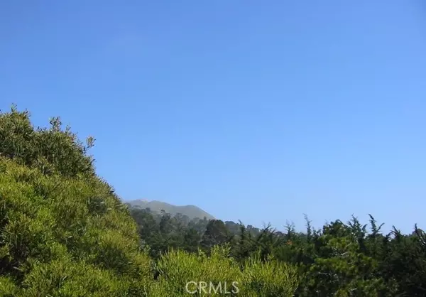 Carmel Highlands, CA 93923,195 Spindrift Road