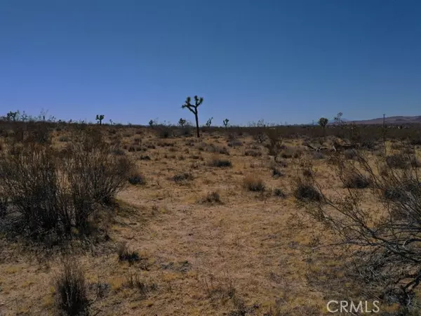 Yucca Valley, CA 92284,0 Hondo Street