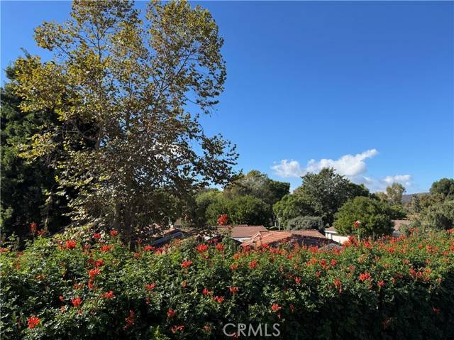 3209 Via Buena Vista #B, Laguna Woods, CA 92637