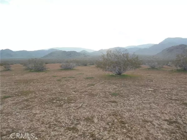 Lucerne Valley, CA 92356,1222 Lorraine