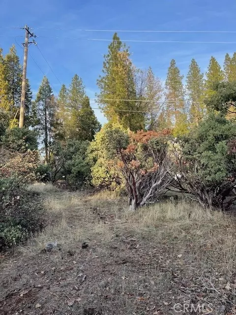 Pollock Pines, CA 95726,6172 Shad Way