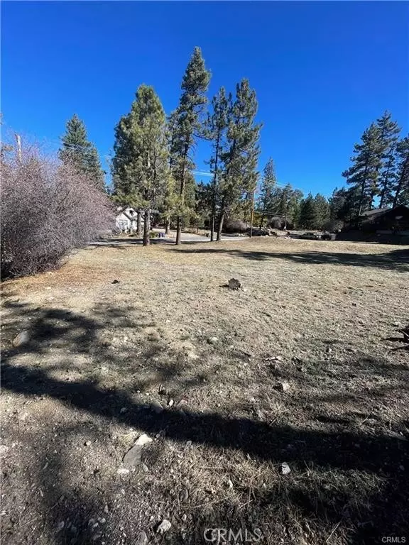 Big Bear Lake, CA 92315,40063 Big Bear Boulevard