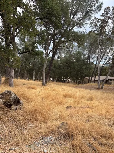 Placerville, CA 95667,3885 Rosey Way