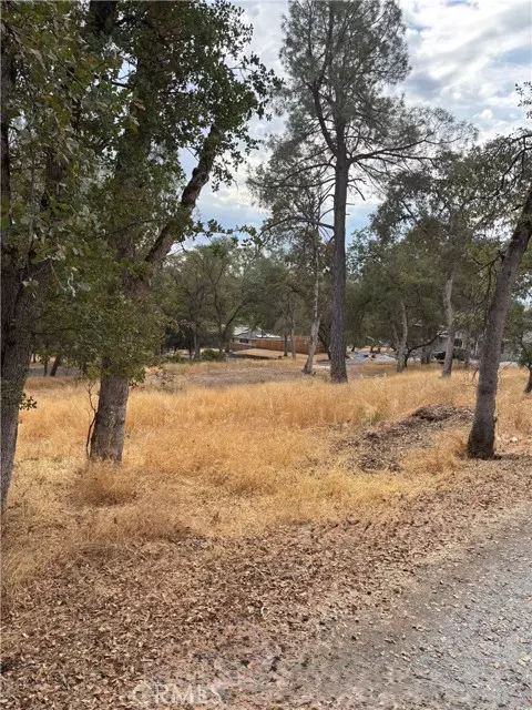 Placerville, CA 95667,3885 Rosey Way