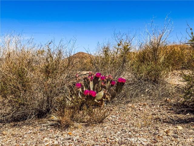 Other - See Remarks, CA 92389,120 Old Spanish Trail Hwy