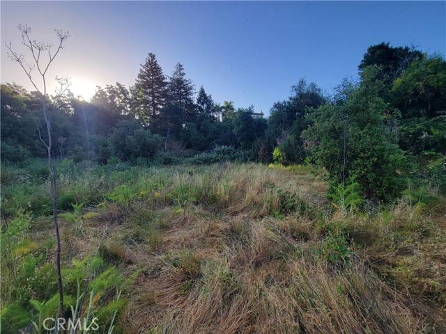Vallejo, CA 94590,110 Harrier Ave