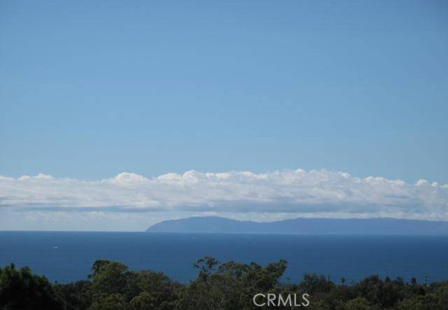 Newport Coast, CA 92657,14 Saint Pierre