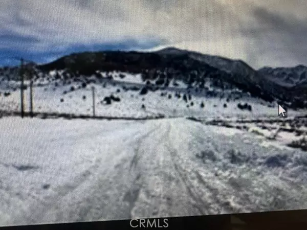 Mammoth Lakes, CA 93546,81 Hidden Canyon Court