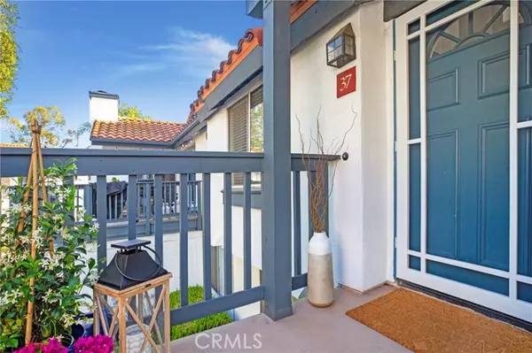 Rancho Santa Margarita, CA 92688,37 Lobelia