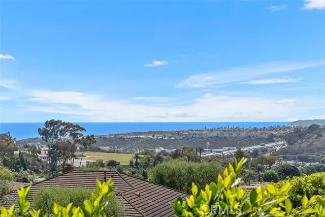 317 Calle Familia, San Clemente, CA 92672