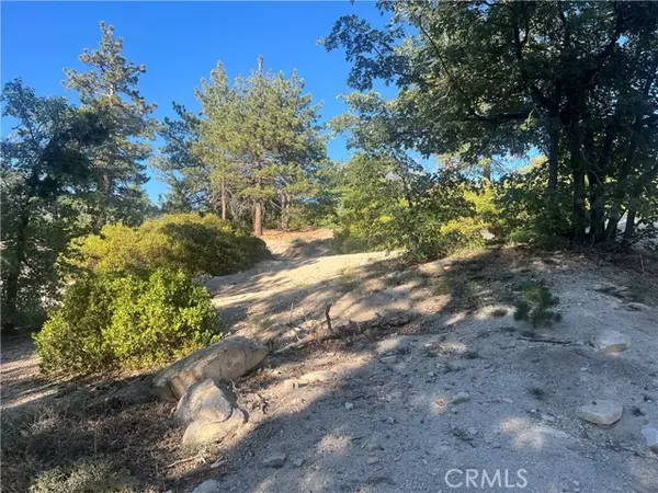 0 Deer Lick Drive, Los Angeles, CA 92382