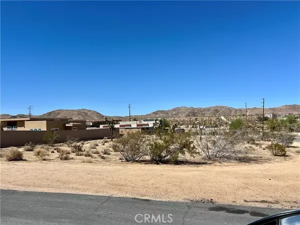 Joshua Tree, CA 92252,0 Division Street