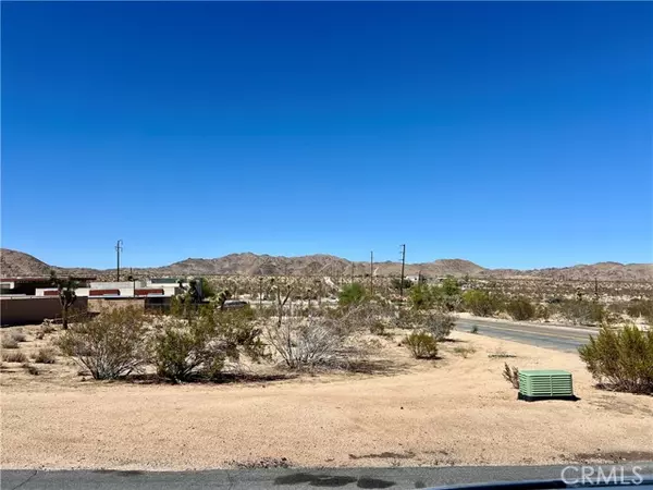 Joshua Tree, CA 92252,0 Division Street