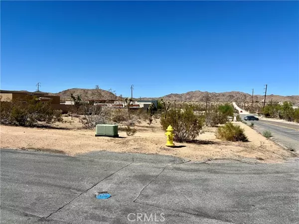 Joshua Tree, CA 92252,0 Division Street