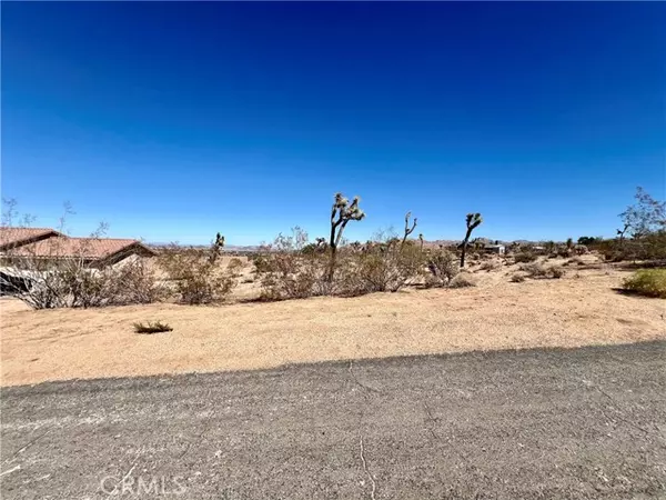Joshua Tree, CA 92252,0 Torres Avenue