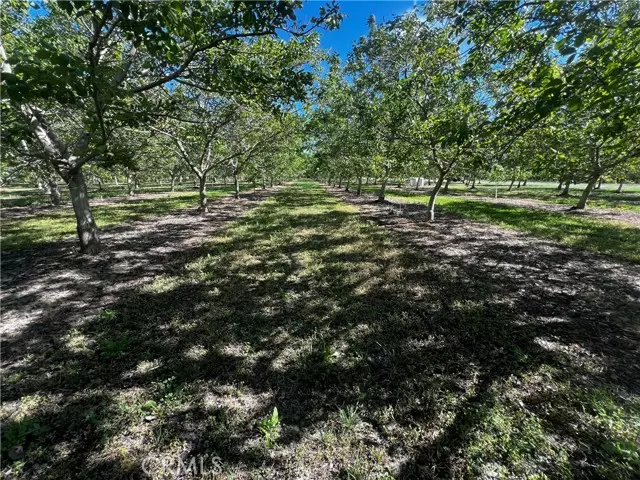 Hamilton City, CA 95951,4180 COUNTY 203 Road