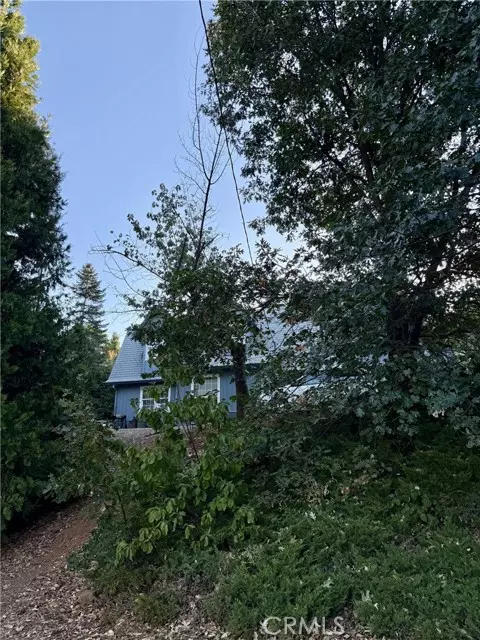 Camino, CA 95709,2781 Larsen