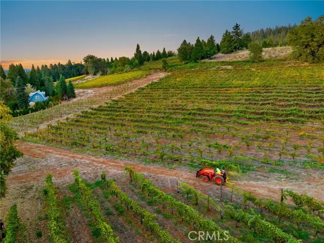 Camino, CA 95709,2781 Larsen