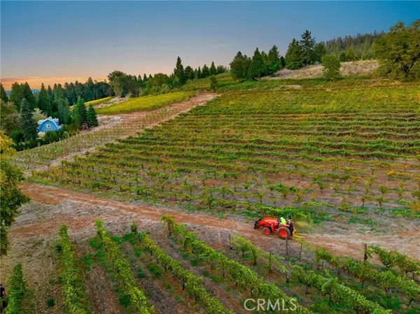 2781 Larsen, Camino, CA 95709