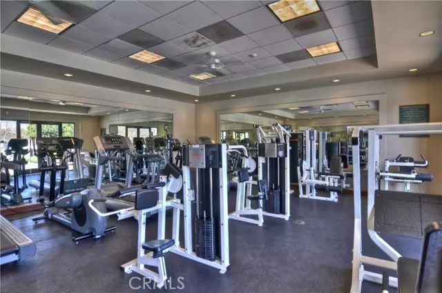 Irvine, CA 92603,20 Dreamlight