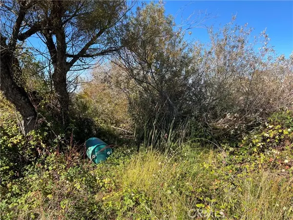 Oroville, CA 95966,0 Fletcher Road