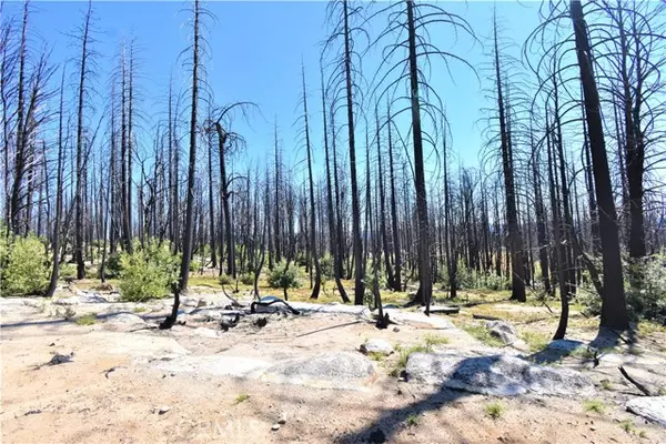 Berry Creek, CA 95916,0 Bald Rock Road