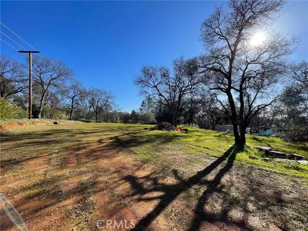 Oroville, CA 95966,0 Olive