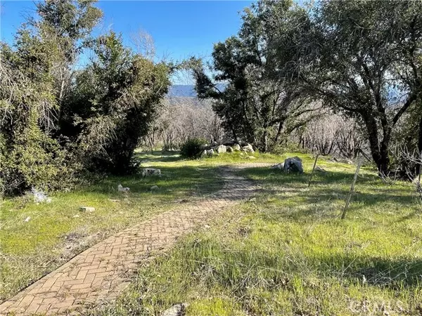 Berry Creek, CA 95916,363 Raccoon Road