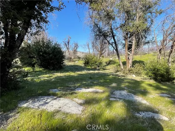 Berry Creek, CA 95916,363 Raccoon Road