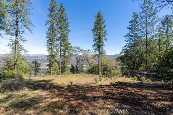 Oroville, CA 95966,0 Lake Haven