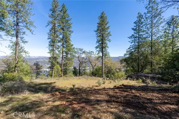 Oroville, CA 95966,0 Lake Haven