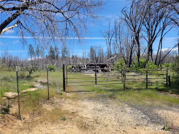 133 Sandy Springs Lane, Berry Creek, CA 95916
