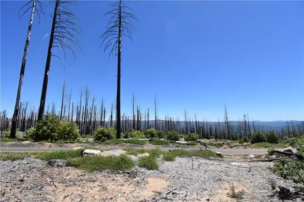 Berry Creek, CA 95916,0 Bald Rock Road