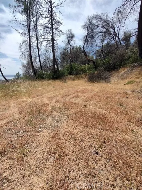 Berry Creek, CA 95916,0 Black Bear Road