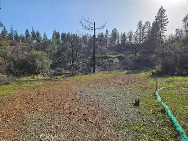 Berry Creek, CA 95916,6 Feather Ridge Way