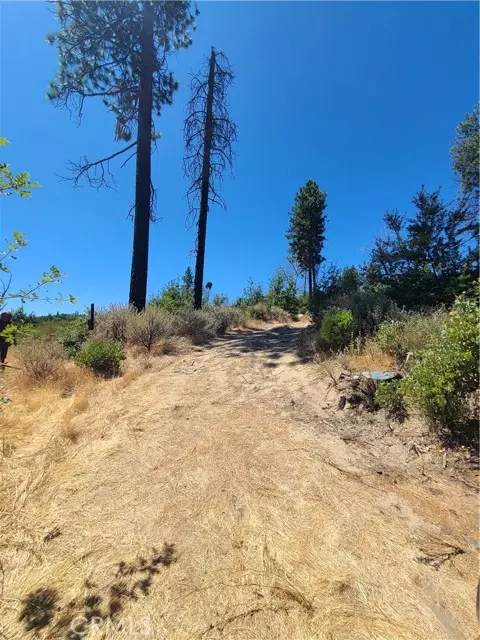 Paradise, CA 95966,0 Hog Ranch Road