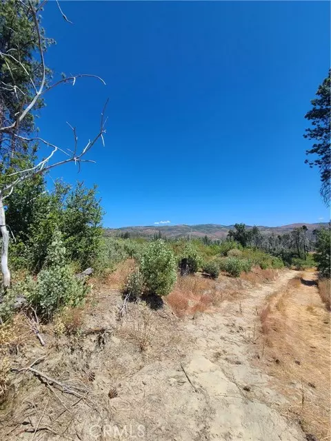 Paradise, CA 95966,0 Hog Ranch Road