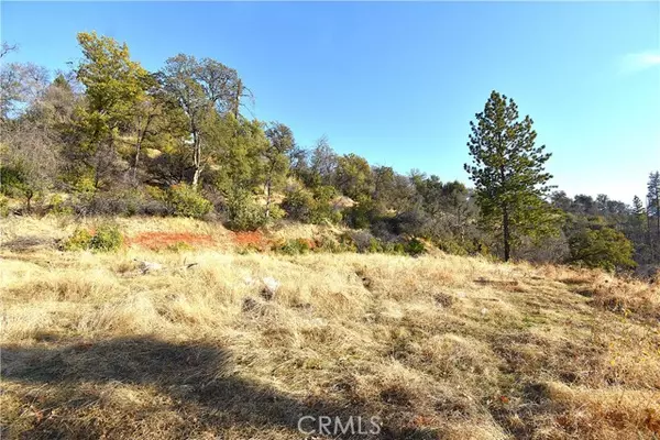 Berry Creek, CA 95966,0 Canyon Creek Road