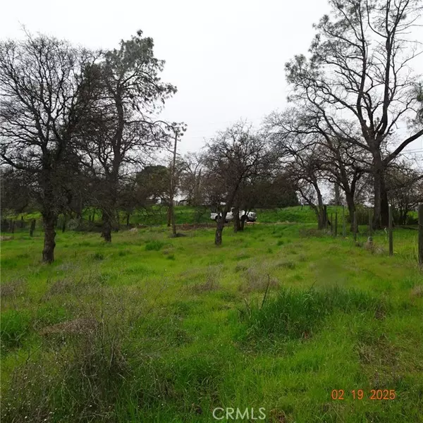 Oroville, CA 95966,0 Long Bar